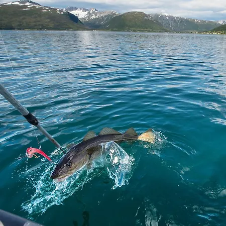 Vacation: Sea Fishing And Northern Lights Апарт-отель 3*