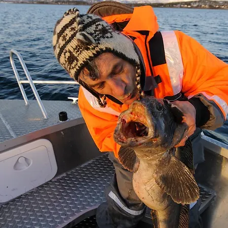 Апарт-отель Vacation: Sea Fishing And Northern Lights