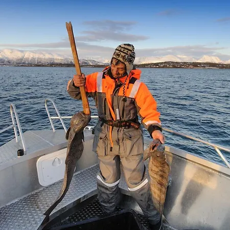 Апарт-отель Vacation: Sea Fishing And Northern Lights Vikran