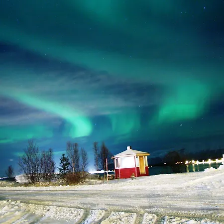 Vacation: Sea Fishing And Northern Lights Vikran