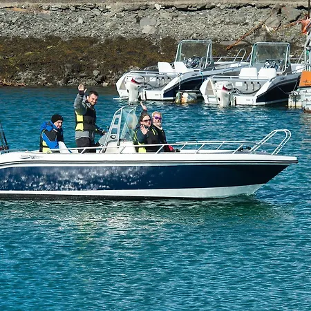 Vacation: Sea Fishing And Northern Lights Aparthotel Vikran