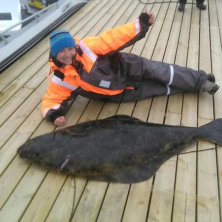 Vacation: Sea Fishing And Northern Lights 3*