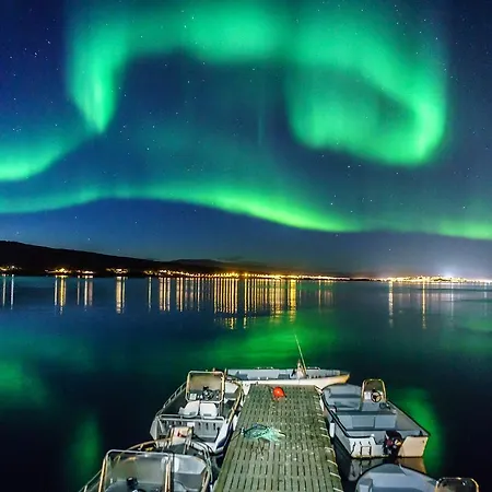 Vacation: Sea Fishing And Northern Lights