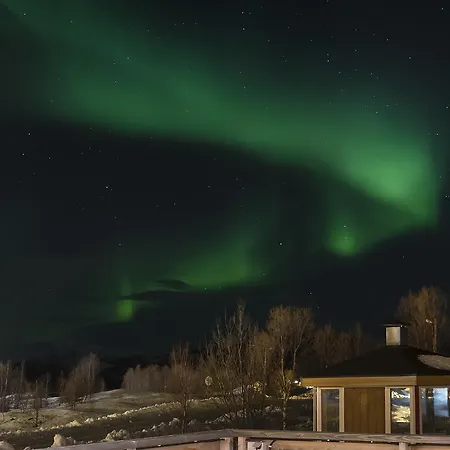 Vacation: Sea Fishing And Northern Lights * Vikran