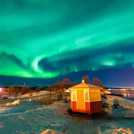 Vacation: Sea Fishing And Northern Lights *