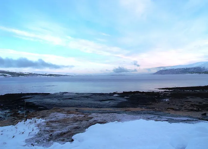 Vacation: Sea Fishing And Northern Lights Apart Otel Vikran