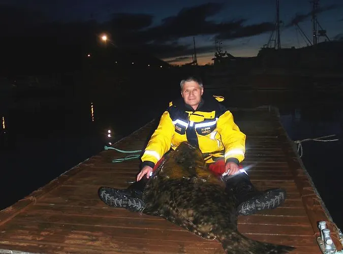Vacation: Sea Fishing And Northern Lights 3*