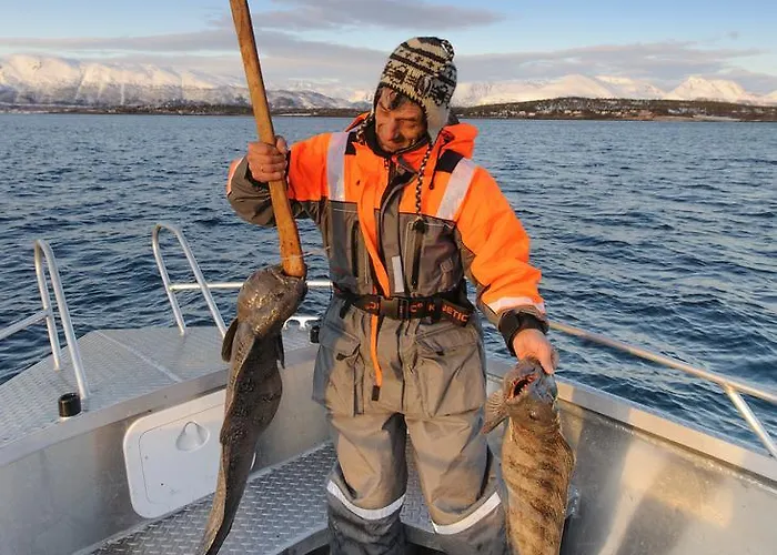 Apart Otel Vacation: Sea Fishing And Northern Lights Vikran