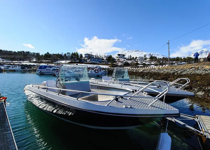 Vacation: Sea Fishing And Northern Lights Vikran