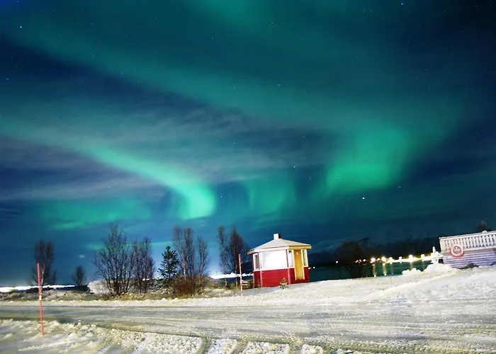 Vacation: Sea Fishing And Northern Lights Vikran