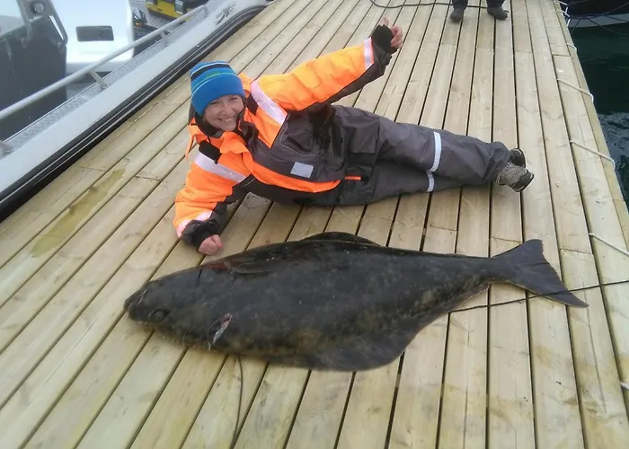 Vacation: Sea Fishing And Northern Lights 3*