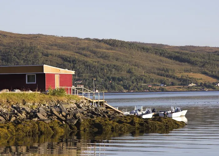 Vacation: Sea Fishing And Northern Lights 3* Vikran
