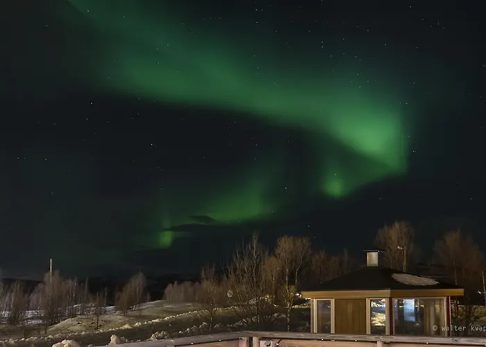Vacation: Sea Fishing And Northern Lights 3* Vikran