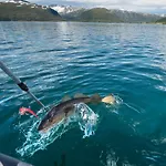 Vacation: Sea Fishing And Northern Lights Lejlighedshotel 3*