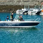 Vacation: Sea Fishing And Northern Lights Lejlighedshotel Vikran