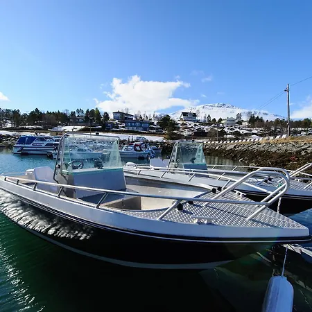 Vacation: Sea Fishing And Northern Lights Vikran